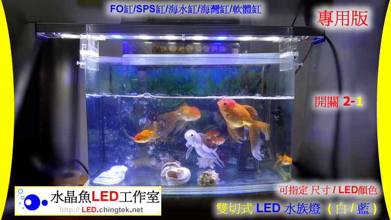 雙切式 LED水族燈 - 海水/軟體專用版【水晶魚LED工作室】
